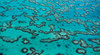 Great Barrier Reef Gladstone