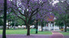 Gympie