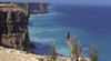 Head of Bight