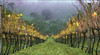Heathcote