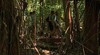 Holmes Jungle Nature Park