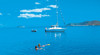 Hook Island