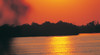 King Ash Bay