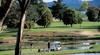 Launceston