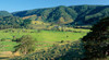 Maleny