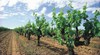Margaret River