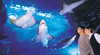 Melbourne Aquarium