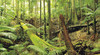 Mount Warning