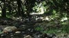 Mt Warning National Park
