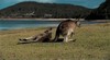 Narooma