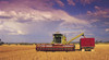 Narrabri
