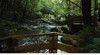 Nelson Falls