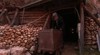 Ophir Gold Mining