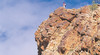 Ormiston Gorge