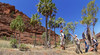 Palm Valley
