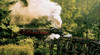 Puffing Billy