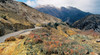 Queenstown