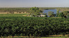 Riverland