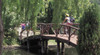Rymill Park