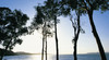 Shoal Bay