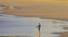 Tomaree National Park