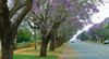 Toowoomba