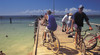Wallaroo