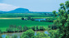 Yandina