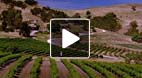 video title goes here