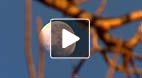 video title goes here