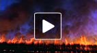 video title goes here
