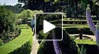 video title goes here