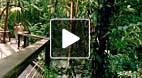 video title goes here