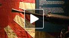 video title goes here