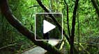 video title goes here