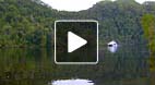 video title goes here