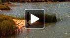 video title goes here