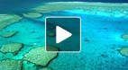 video title goes here
