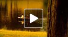 video title goes here
