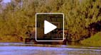 video title goes here
