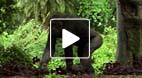 video title goes here