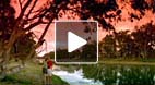 video title goes here