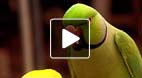 video title goes here