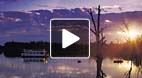video title goes here