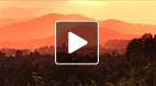 video title goes here
