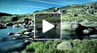 video title goes here