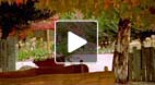 video title goes here
