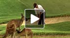 video title goes here