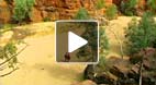 video title goes here