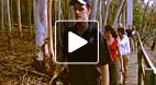 video title goes here